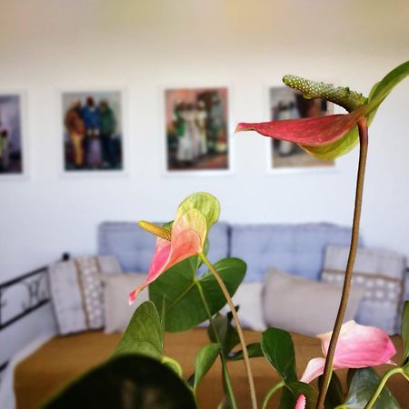 Casa Arte De Sorvilán Esterno foto